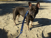 Load image into Gallery viewer, LG Dog Leash
