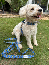 Load image into Gallery viewer, LG Dog Leash
