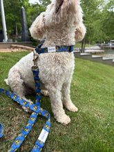 Load image into Gallery viewer, LG Dog Leash
